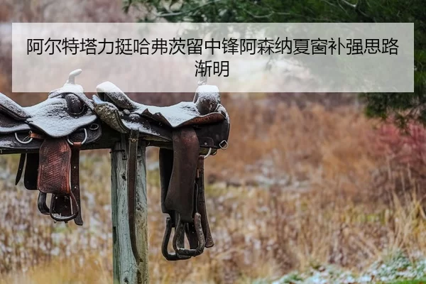 阿尔特塔力挺哈弗茨留中锋阿森纳夏窗补强思路渐明