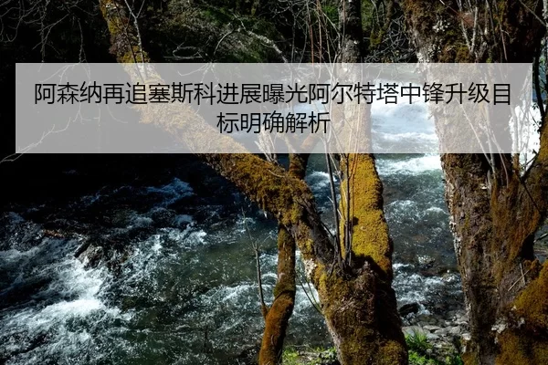 阿森纳再追塞斯科进展曝光阿尔特塔中锋升级目标明确解析