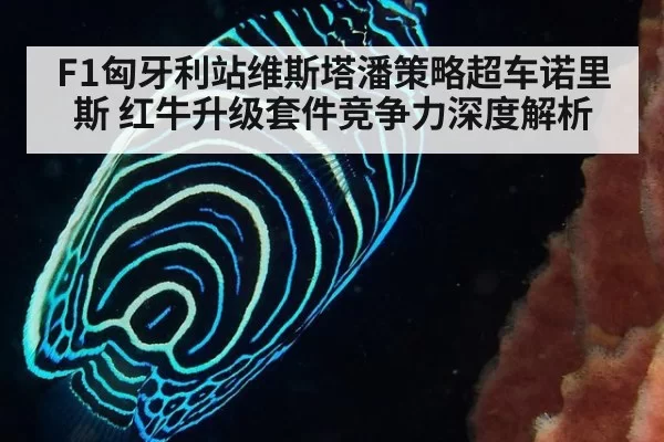 F1匈牙利站维斯塔潘策略超车诺里斯 红牛升级套件竞争力深度解析
