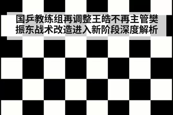 国乒教练组再调整王皓不再主管樊振东战术改造进入新阶段深度解析
